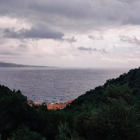 Kaminaki Seaview Apartments Katávolos المظهر الخارجي الصورة