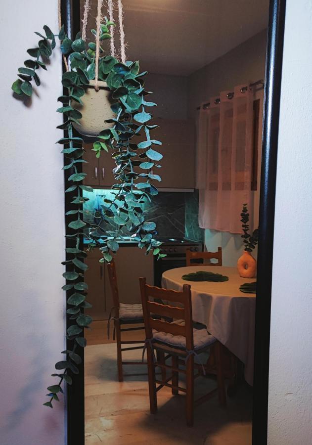 Kaminaki Seaview Apartments Katávolos المظهر الخارجي الصورة